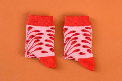 Medium Set of 6